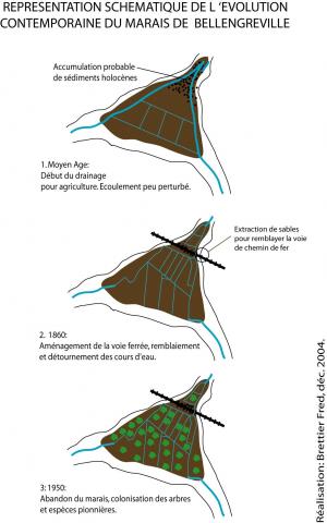 schéma de l'évolution du marais